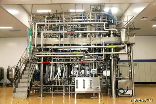 隆力奇智能化轉型 從日化巨頭到智匯變革的投影布局